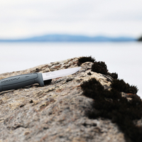 סכין מורה-קניב בייסיק 546 SE אלחלד- MORAKNIV BASIC 546 SE