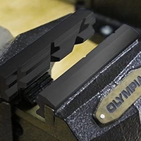 שפתיים למלחציים 6