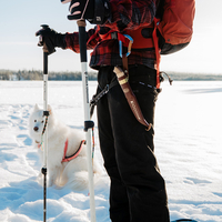 סכין ראש דב מרטייני - MARTTIINI BEAR KNIFE