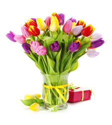 Arranging tulips in a vase