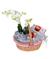 Orchid case in basket