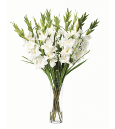 A spectacular gladiolus bouquet