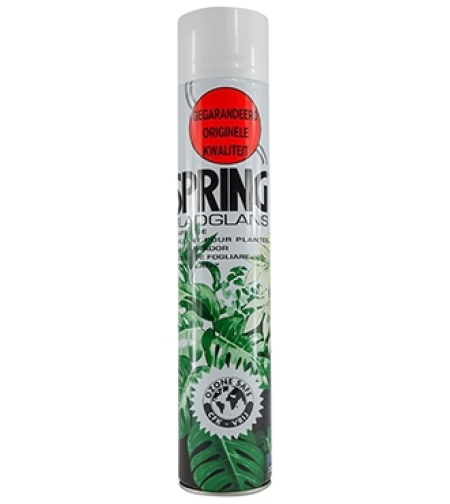 SPRING - Leaf cleaning shine