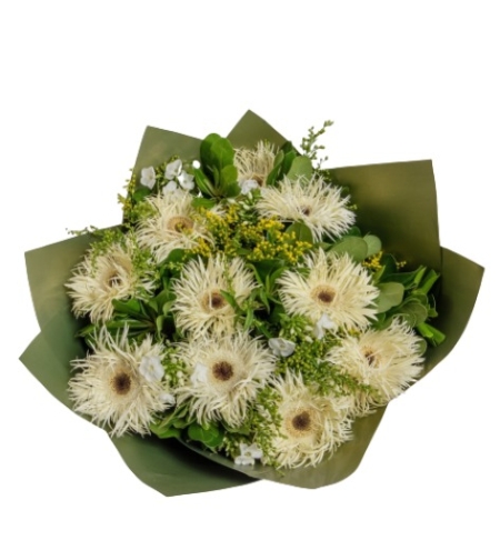 White gerbera bouquet