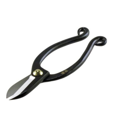 מספרי בונסאי 165 מ