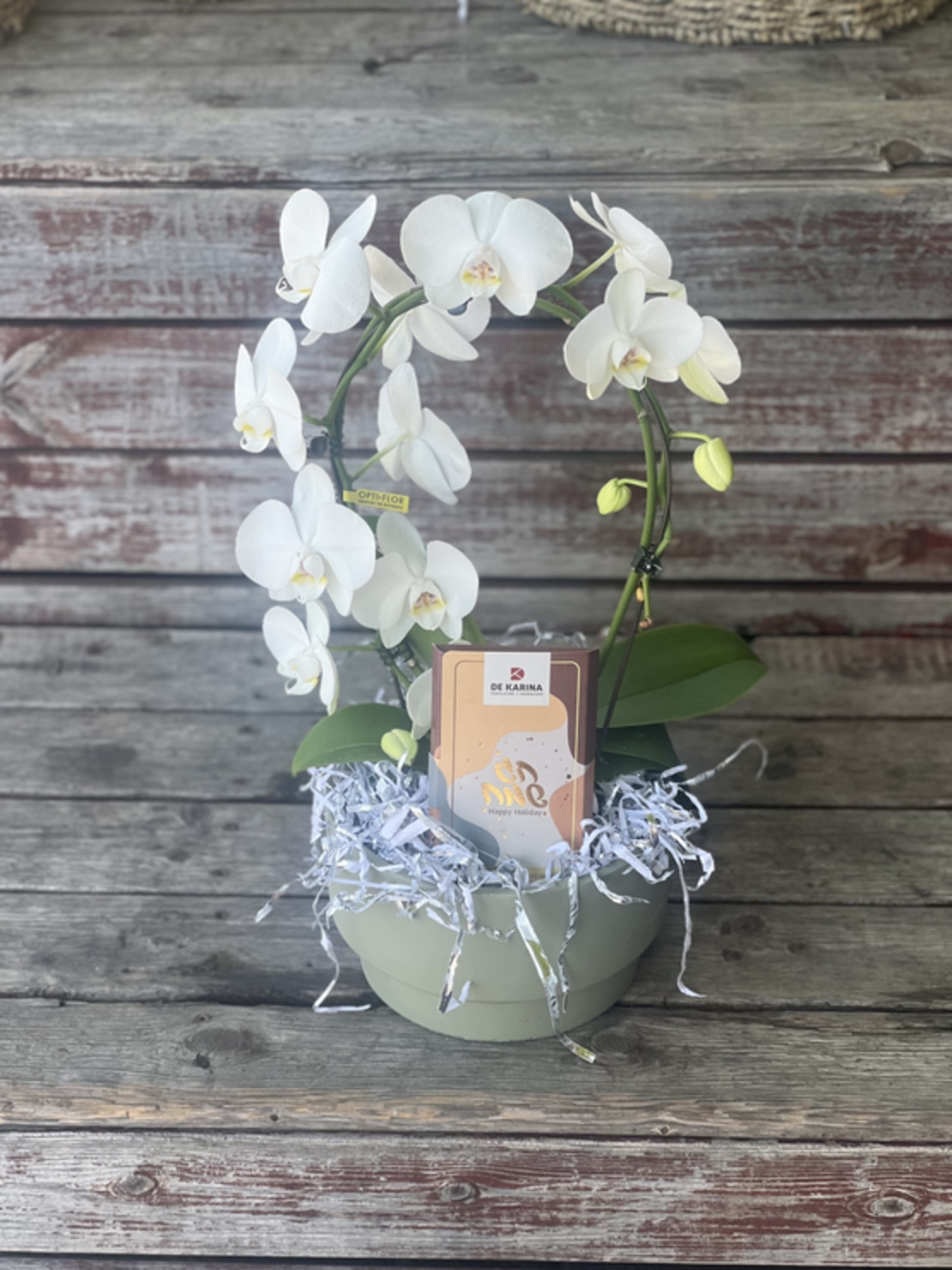 White orchid in a fancy ceramic dish with the addition of chocolate de Carina Happy Holidays