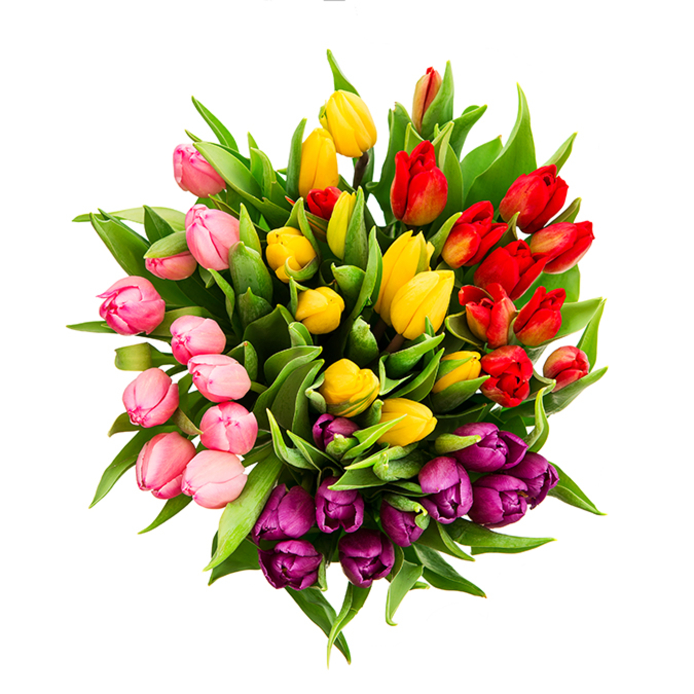 A bouquet of 41 tulips in a variety of colors