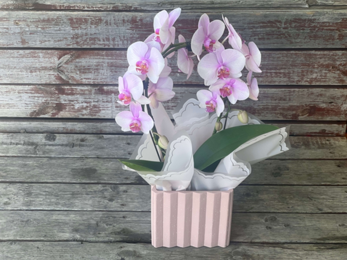 A pink orchid in a fancy ceramic vessel