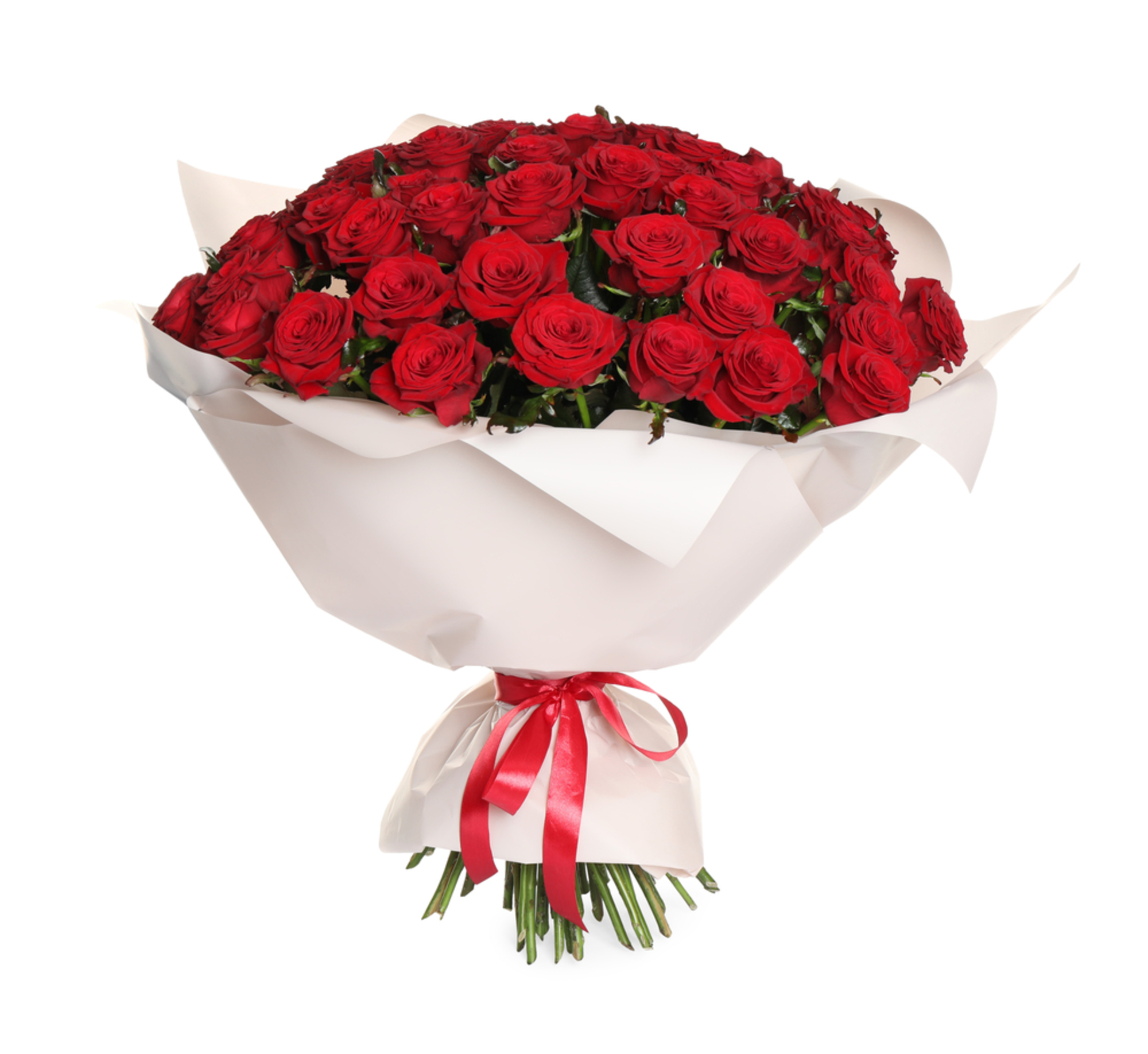 101 Red Roses
