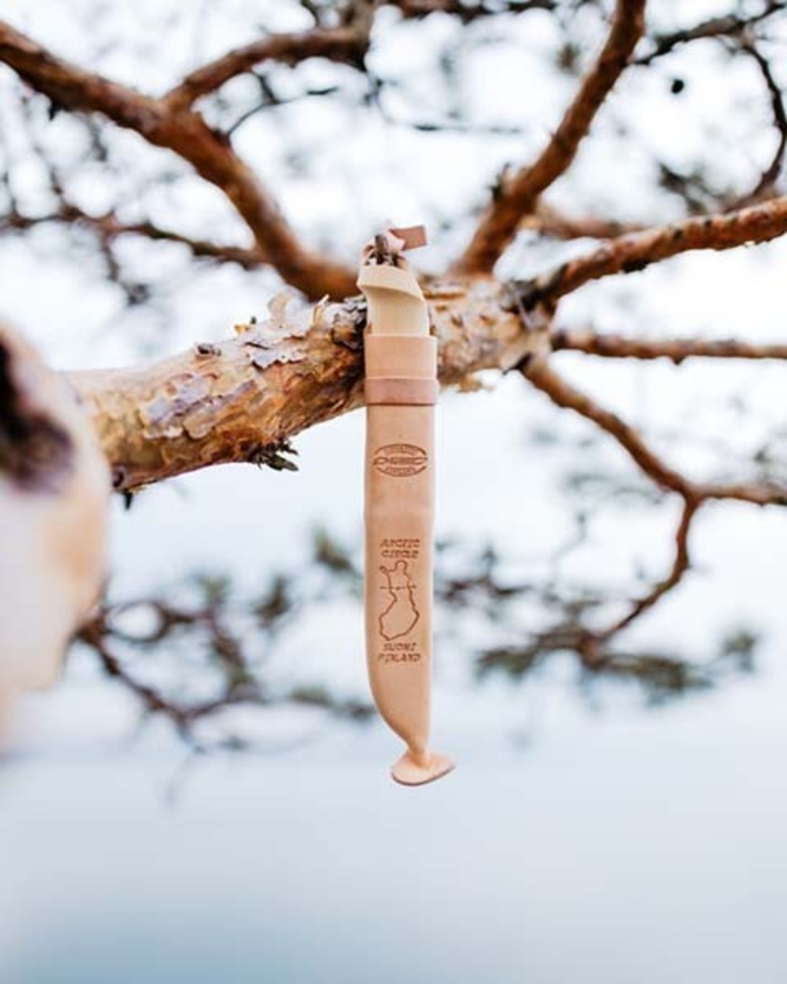 סכין מעגל הקוטב הצפוני מרטייני