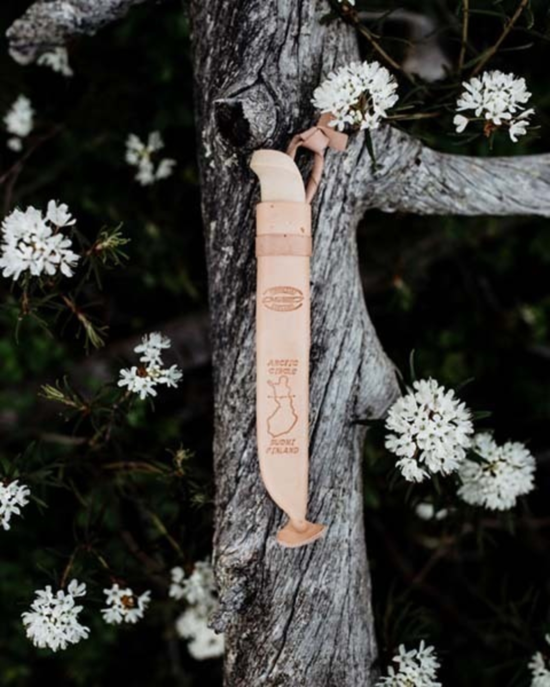 סכין מעגל הקוטב הצפוני מרטייני